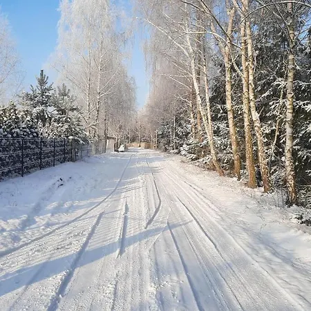 Appartement Caloroczny Nad Jeziorem Budzislawskim, Wielkopolska Na Wynajem