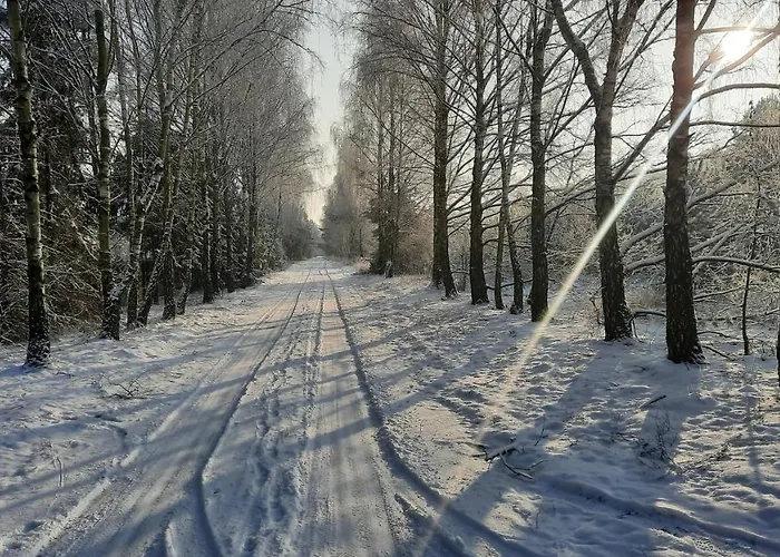 Caloroczny Nad Jeziorem Budzislawskim, Wielkopolska Na Wynajem Apartment