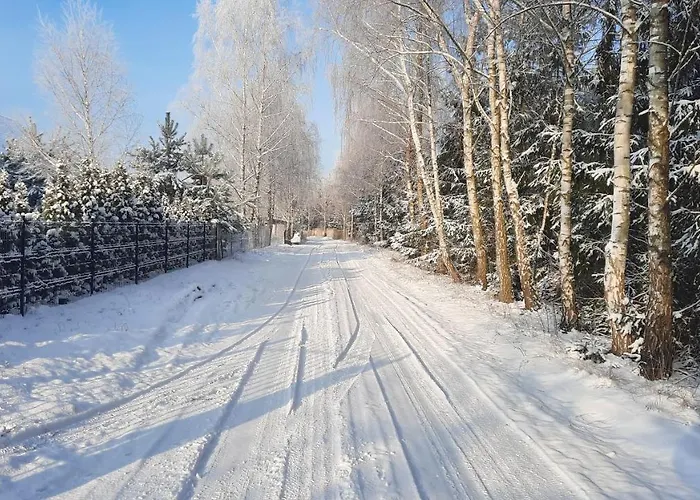 Appartement Caloroczny Nad Jeziorem Budzislawskim, Wielkopolska Na Wynajem